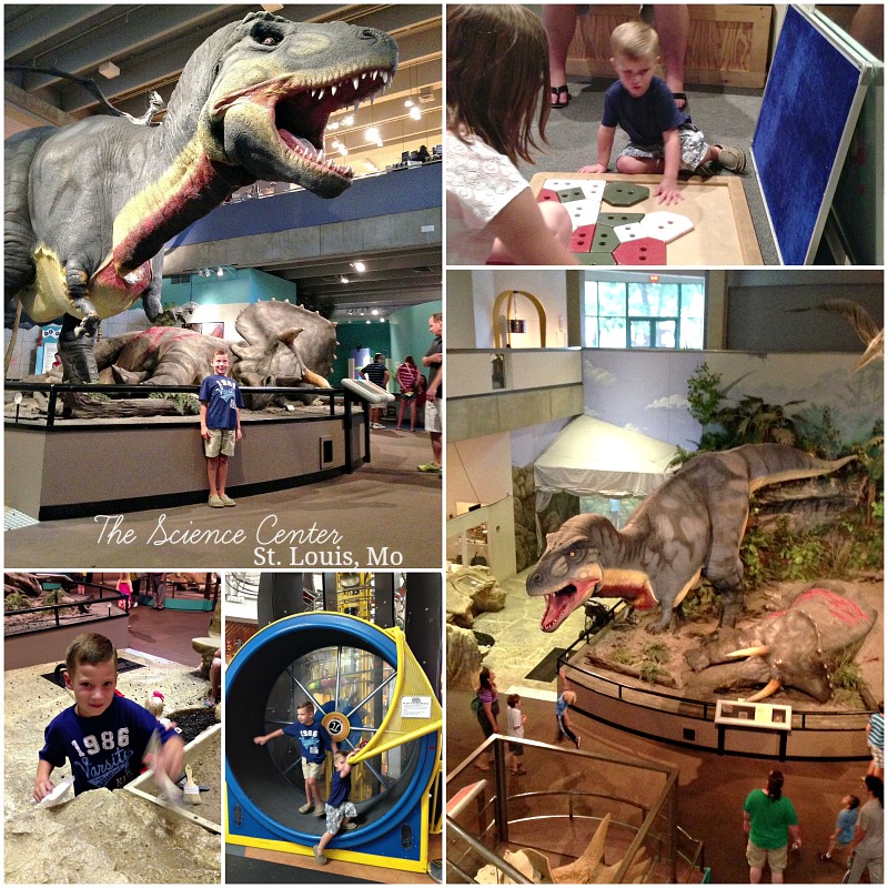 Fun & Inexpensive Things to Do with Kids in St. Louis {Our Vacation} - Love of Family & Home