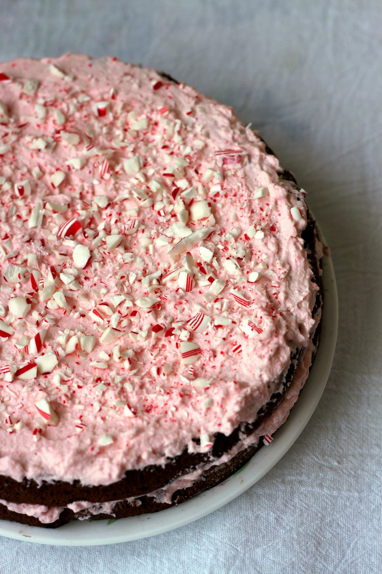 Flourless-Chocolate-Peppermint-Cake