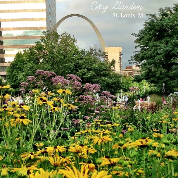 Fun Inexpensive Things To Do With Kids In St Louis Our