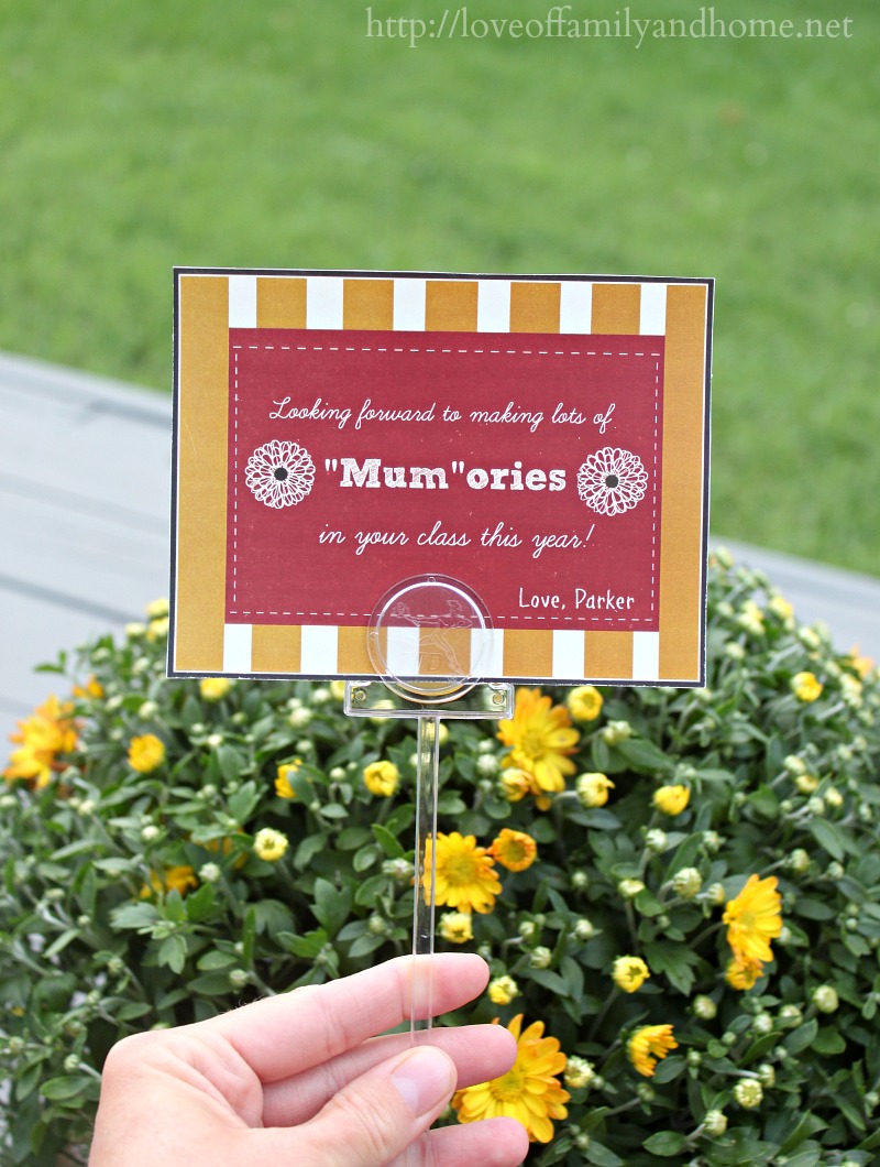 Back-To-School Teacher's Gift Idea with FREE printables