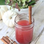 Easy & Delicious Cranberry Cider {Fall Progressive Dinner Party}