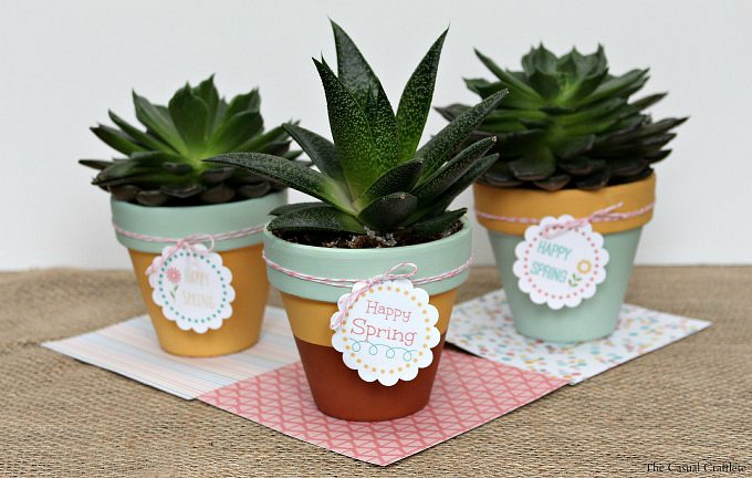 3-Mint-Mustard-Painted-Succulent-Pots-plus-FREE-Printable-Happy-Spring-Tags.jpg